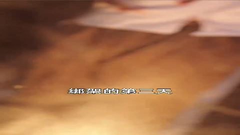 镇国龙帅