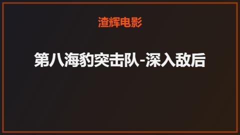 第八海豹突击队-深入敌后