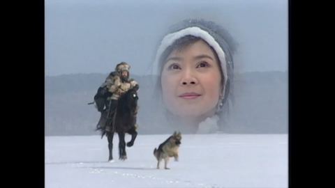 蓝狐之恋