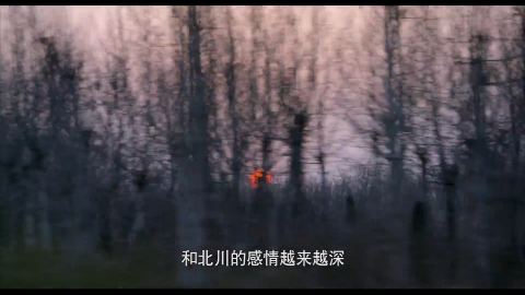 川流不息
