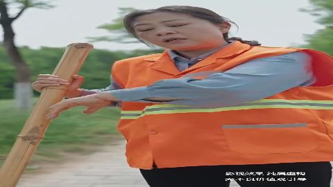 被偷走的人生又名遥不可及的母亲