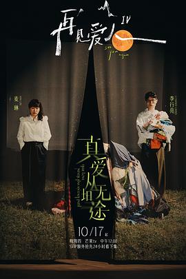 《再见爱人第四季》在线观看_大陆综艺再见爱人第四季高清全集