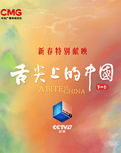 舌尖上的中国 第四季