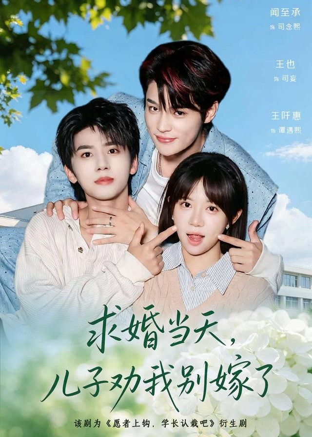 求婚当天儿子劝我别嫁了-都市日常