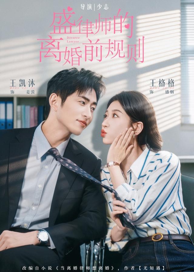 盛律师的离婚前规则-现代言情